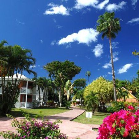 Le Marouba Hotel Le Carbet Exterior photo